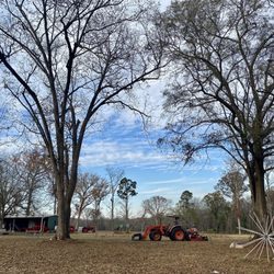 96 Pecan Company - Farm