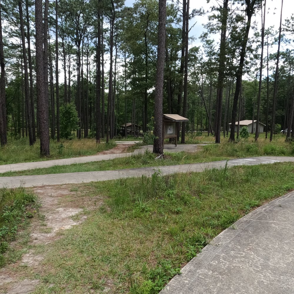Falling Waters State Park - Winding trail to the lake - Parks Near Me - Chipley, Florida Falling Waters State Park - Winding trail to the lake - Parks Near Me - Chipley, Florida