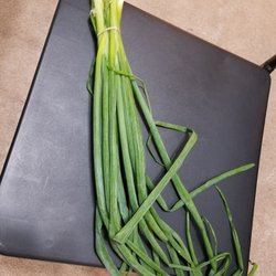 Coventry Farmers' Market - Fresh local scallion for $3