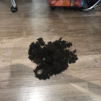 The Attitude Adjuster - Hair Stylists Near Me - Hollywood, California