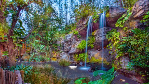 Disney Animal Kingdom by null