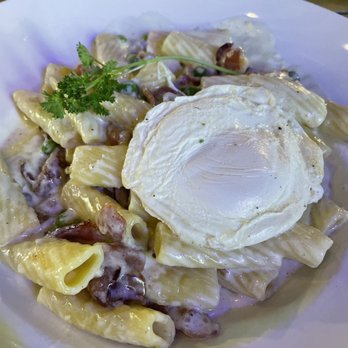 Hotel Croydon Miami Beach - Delicious Rigatoni Carbonara - Hotels Near Me - Miami Beach, Florida Hotel Croydon Miami Beach - Delicious Rigatoni Carbonara - Hotels Near Me - Miami Beach, Florida