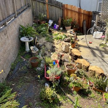 National Wildfire Prevention - a back yard with a lot of potted plants - Tree Services Near Me National Wildfire Prevention - a back yard with a lot of potted plants - Tree Services Near Me