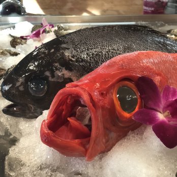 M Sushi Bistro - Sushi Bars Near Me - Lodi, California M Sushi Bistro - Sushi Bars Near Me - Lodi, California