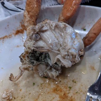 Riptides Raw Bar & Grill - Totally disgusting - Seafood Near Me - Ormond Beach, Florida Riptides Raw Bar & Grill - Totally disgusting - Seafood Near Me - Ormond Beach, Florida