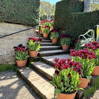 Filoli - Botanical Gardens Near Me - Woodside, California