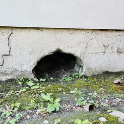 Slave Haven Underground Railroad - Crawl space