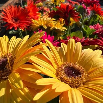 Coppola's Garden Center - Nurseries & Gardening Near Me - South Plainfield, New Jersey