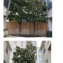 Photo of The Urban Foresters