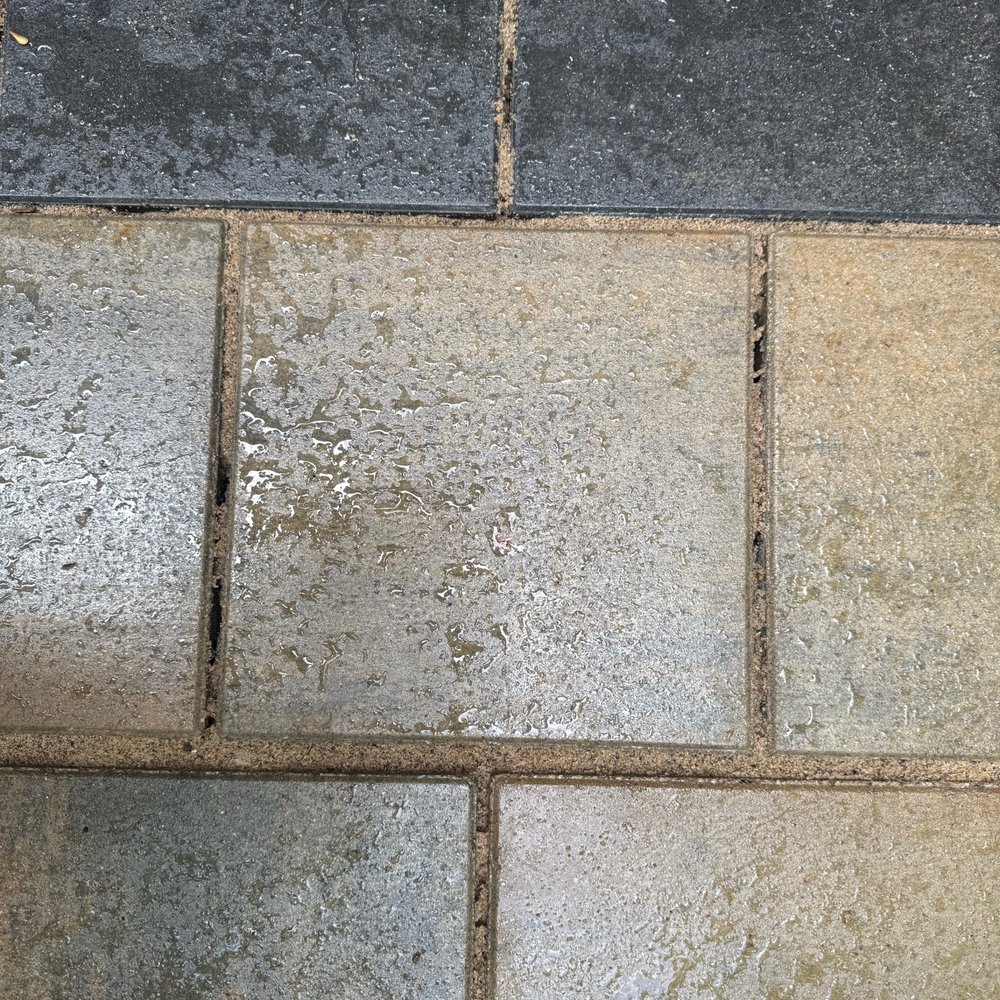 Perfect Paver - Example of polysand already failing - Masonry/Concrete Near Me - Franklin, Ohio