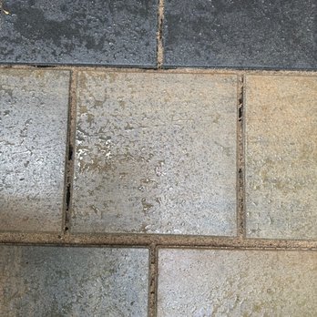 Perfect Paver - Example of polysand already failing - Close-up of wet paver stones with visible polysand and a garden border with plants at the top. - Masonry/Concrete Near Me - Franklin, Ohio