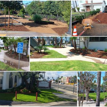 Tejeda's Tree & Landscaping Services - Tree Services Near Me Tejeda's Tree & Landscaping Services - Tree Services Near Me
