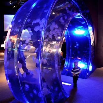 Seattle Aquarium - Aquariums Near Me - Seattle, Washington Seattle Aquarium - Aquariums Near Me - Seattle, Washington