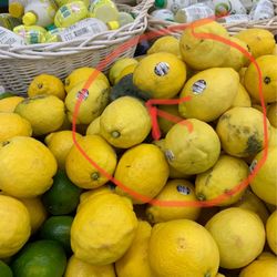 Market Basket - Moldy lemons!