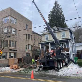 Tree PNW - Tree Services Near Me - Oregon City, Oregon Tree PNW - Tree Services Near Me - Oregon City, Oregon