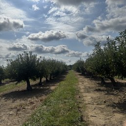 Apple picking Apple picking