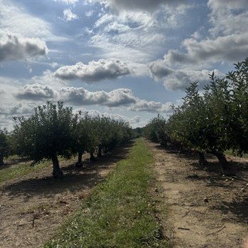 Lewin Farms - Apple picking - Pick Your Own Farms Near Me - Calverton, New York Lewin Farms - Apple picking - Pick Your Own Farms Near Me - Calverton, New York
