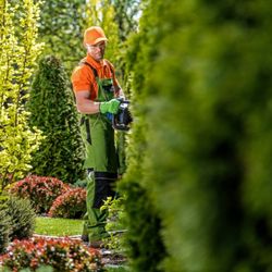Boise Landscaping & Lawn Care - Hedge trimming