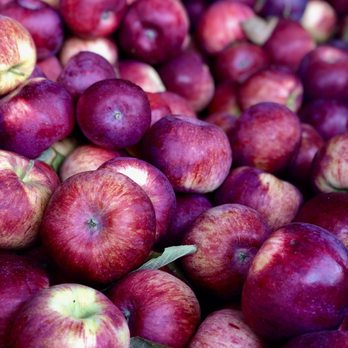 Dutton Farm Stand - Several apple varietals - Fruits & Veggies Near Me - Newfane, Vermont