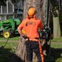 Photo of 603 Tree Care
