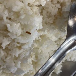 King Chinese Buffet