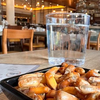 Pisco Y Nazca - Gastropubs Near Me - Kendall, Florida