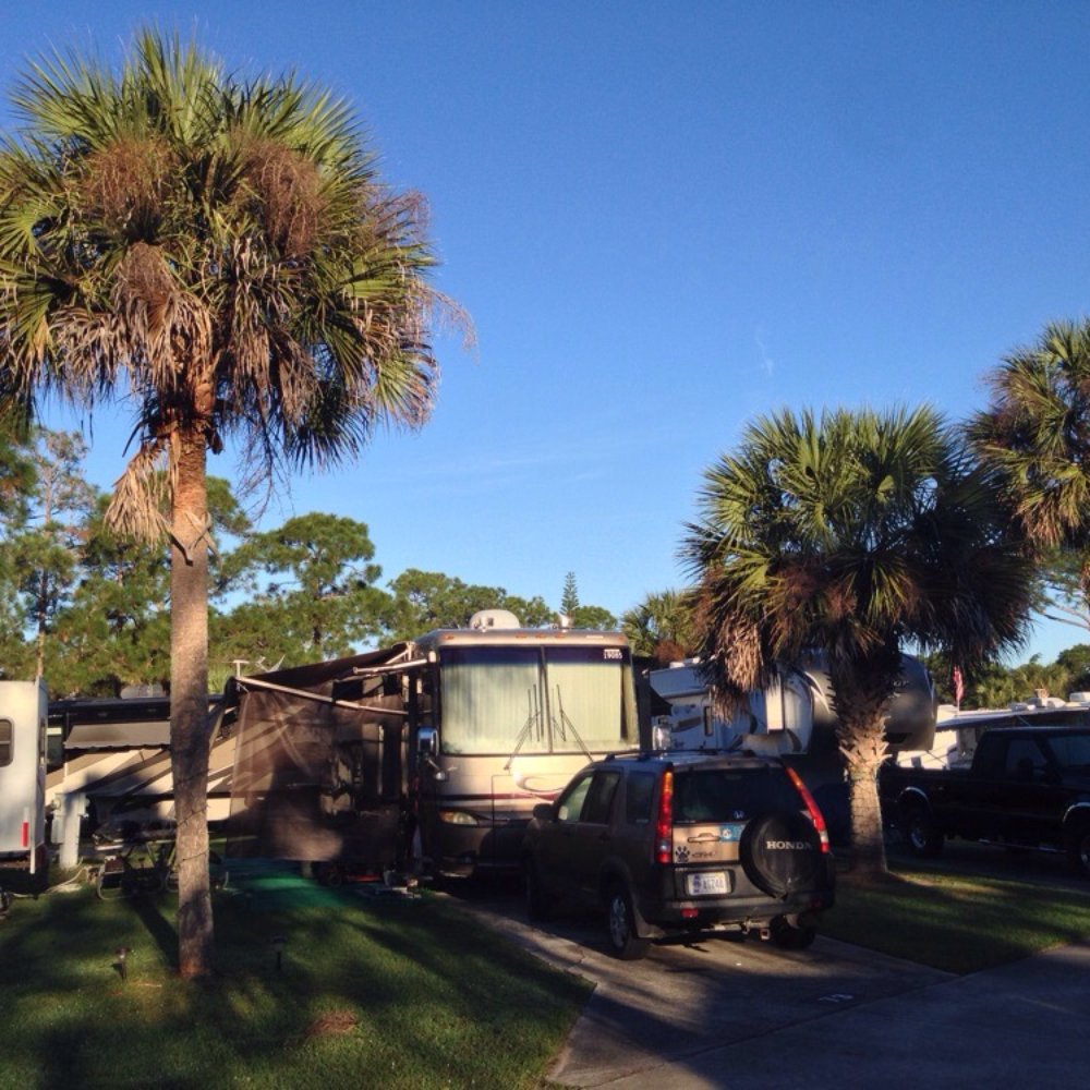Encore Sunshine Travel - Cool trees in this park - RV Parks Near Me - Vero Beach, Florida Encore Sunshine Travel - Cool trees in this park - RV Parks Near Me - Vero Beach, Florida
