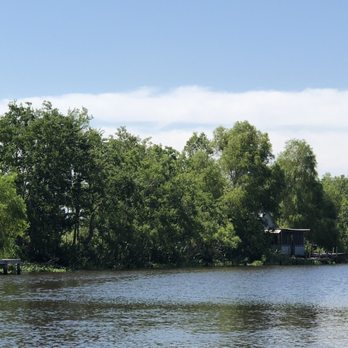 Ultimate Swamp Adventures - Tours Near Me - Westwego, Louisiana