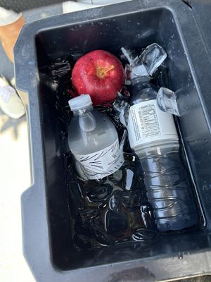 Monarch Beach Golf Links by null