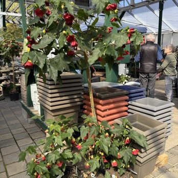 Flower World - Nurseries & Gardening Near Me - Snohomish, Washington