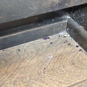Pureflo Home Solutions - This is the kitchen after they had swept and mopped. - Pressure Washers Near Me Pureflo Home Solutions - This is the kitchen after they had swept and mopped. - Pressure Washers Near Me