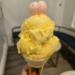 La Glace - Single scoop passionfruit tropicale $6.75