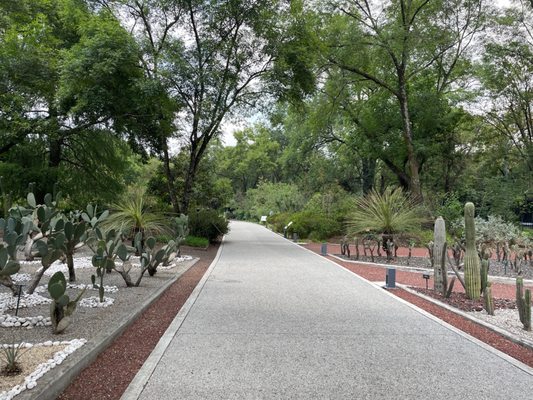 Jardín Botánico del Bosque de Chapultepec by null