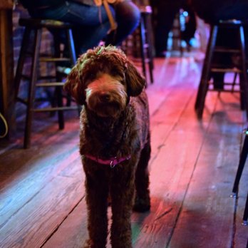 Luckydog - Bars Near Me - Brooklyn, New York