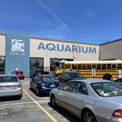 Aquarium Of Boise - Great fun place for kids of all ages!