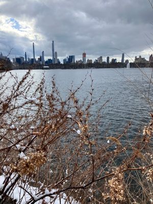 Jacqueline Kennedy Onassis Reservoir by null