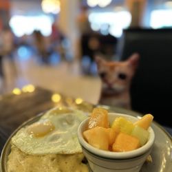 Biscuit & Gravy
