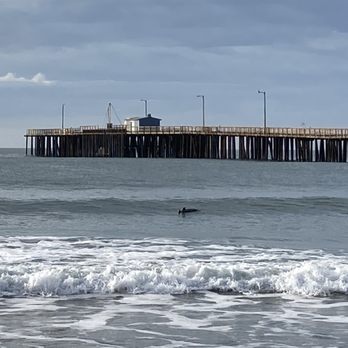 Avila Beach - We saw several sea otters from the beach! - Beaches Near Me - Avila Beach, California