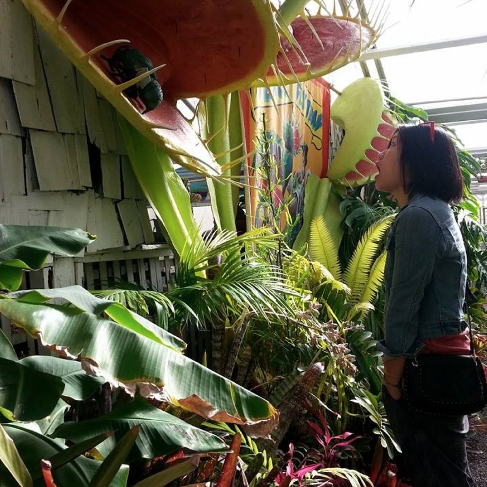 California Carnivores - Big plants! - Nurseries & Gardening Near Me - Sebastopol, California California Carnivores - Big plants! - Nurseries & Gardening Near Me - Sebastopol, California