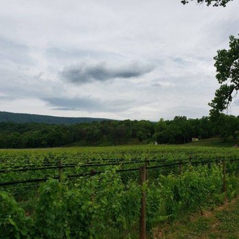 Muse Vineyards - Vineyards - Wine Tasting Room Near Me - Woodstock, Virginia
