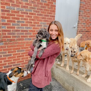 Unleashed Doggy Daycare - Pet Groomers Near Me - Alpharetta, Georgia Unleashed Doggy Daycare - Pet Groomers Near Me - Alpharetta, Georgia