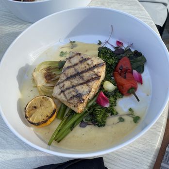 The Wave Kitchen & Bar - Fresh catch - Mahi-mahi - Bars Near Me - Vero Beach, Florida The Wave Kitchen & Bar - Fresh catch - Mahi-mahi - Bars Near Me - Vero Beach, Florida