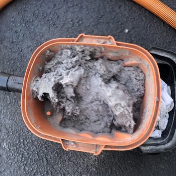 Nave's Cleaning Service - Carpet Cleaning Near Me - Douglassville, Pennsylvania Nave's Cleaning Service - Carpet Cleaning Near Me - Douglassville, Pennsylvania