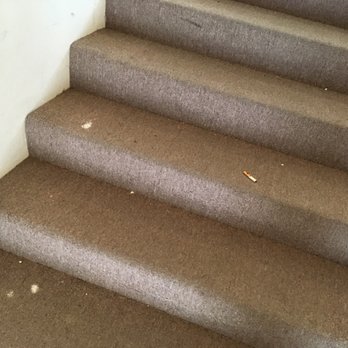 Landmark Real Estate Management - Just plain gross. - Property Management Near Me - Bellingham, Washington