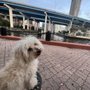 Photo of Jose Marti Park