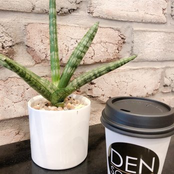 Den Social Lounge - Lounges Near Me - New York, New York Den Social Lounge - Lounges Near Me - New York, New York
