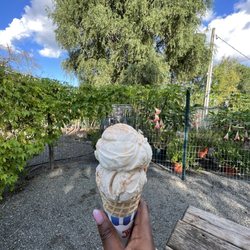 Bloom Hill Farm