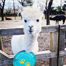 Stopped by the zoo today! Sooo cold and windy outside! Stopped by the zoo today! Sooo cold and windy outside!