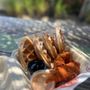 Bred Hot Chicken