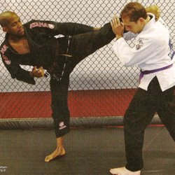 Modern Martial Arts